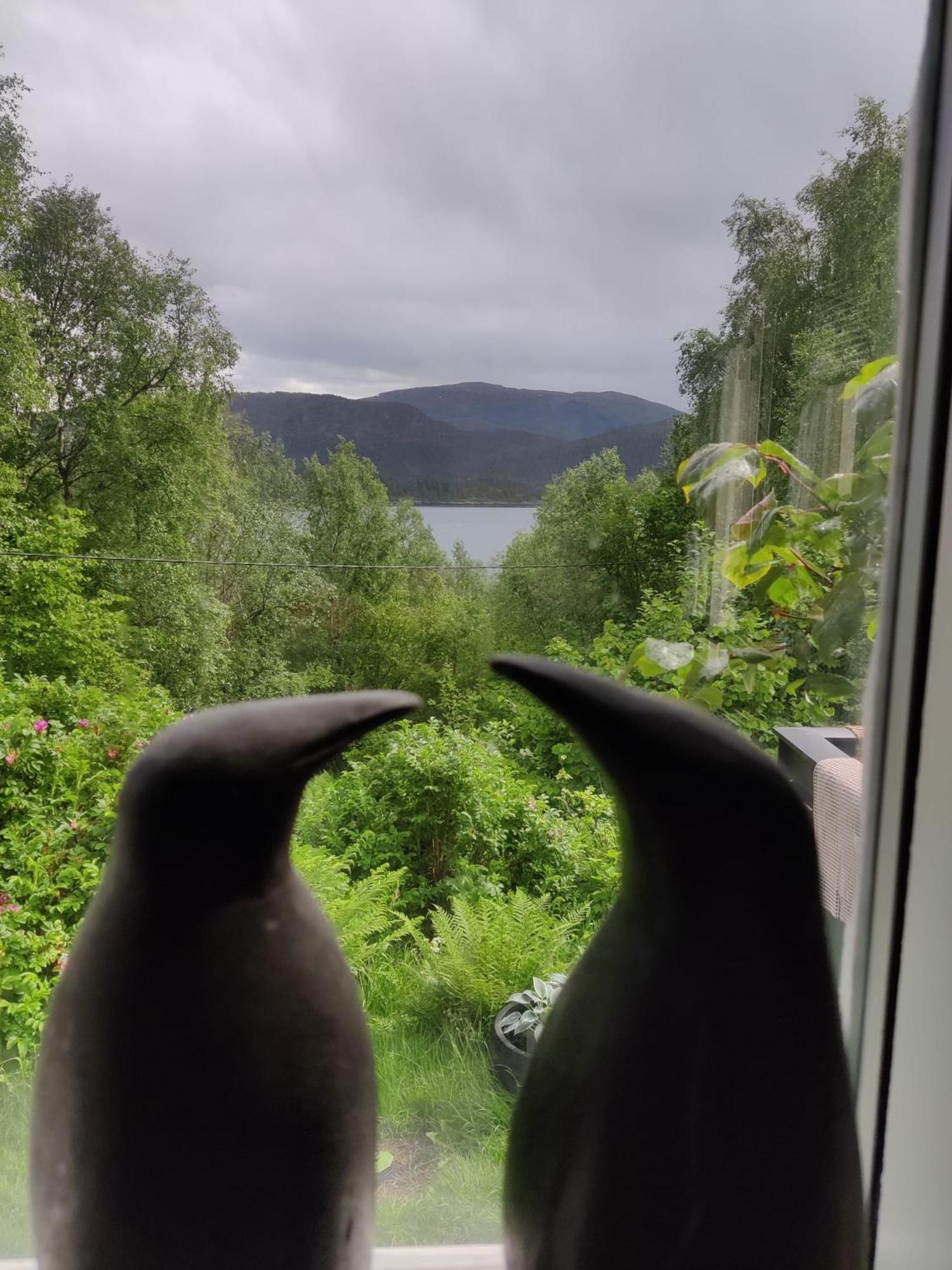 Villa Fjord Peace à Skodje Extérieur photo